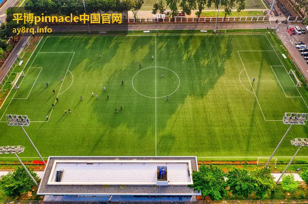 平博pinnacle中国官网赛事数据查询方法