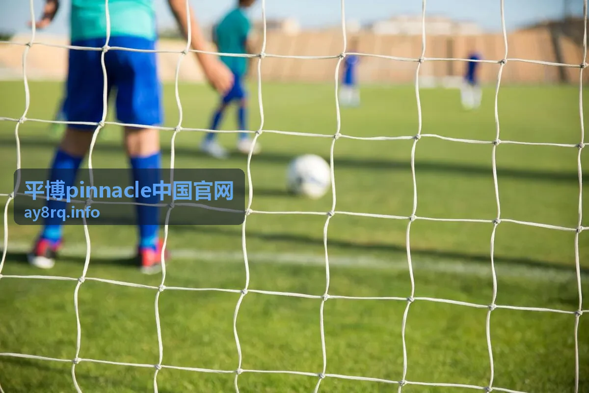 平博pinnacle中国官网客服与帮助通道